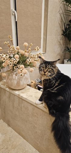 Customer photo review of Terra vase - Beige