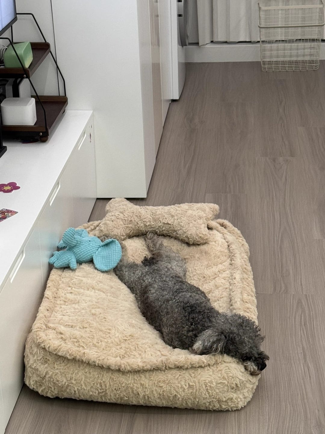 Customer photo review of Faux Fur Square Pet Padding Bed with  Pillow
