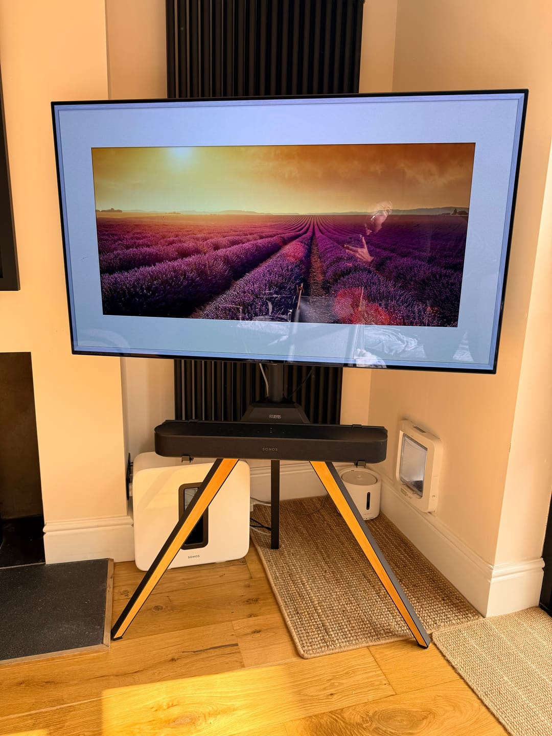 Customer photo review of Picasso FT65 Floor TV Stand