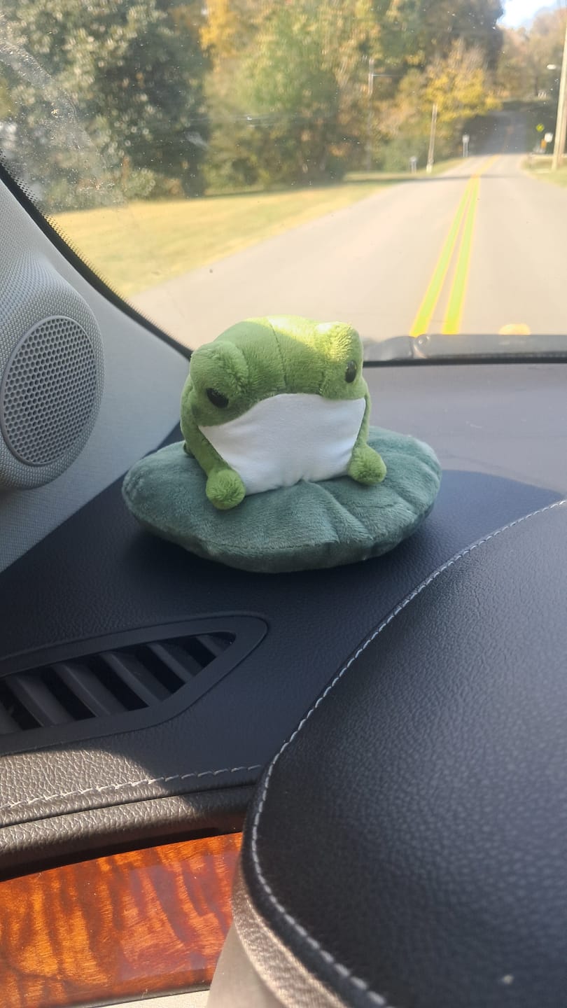Customer photo review of Henry The Frog Sitting On Lily Pad