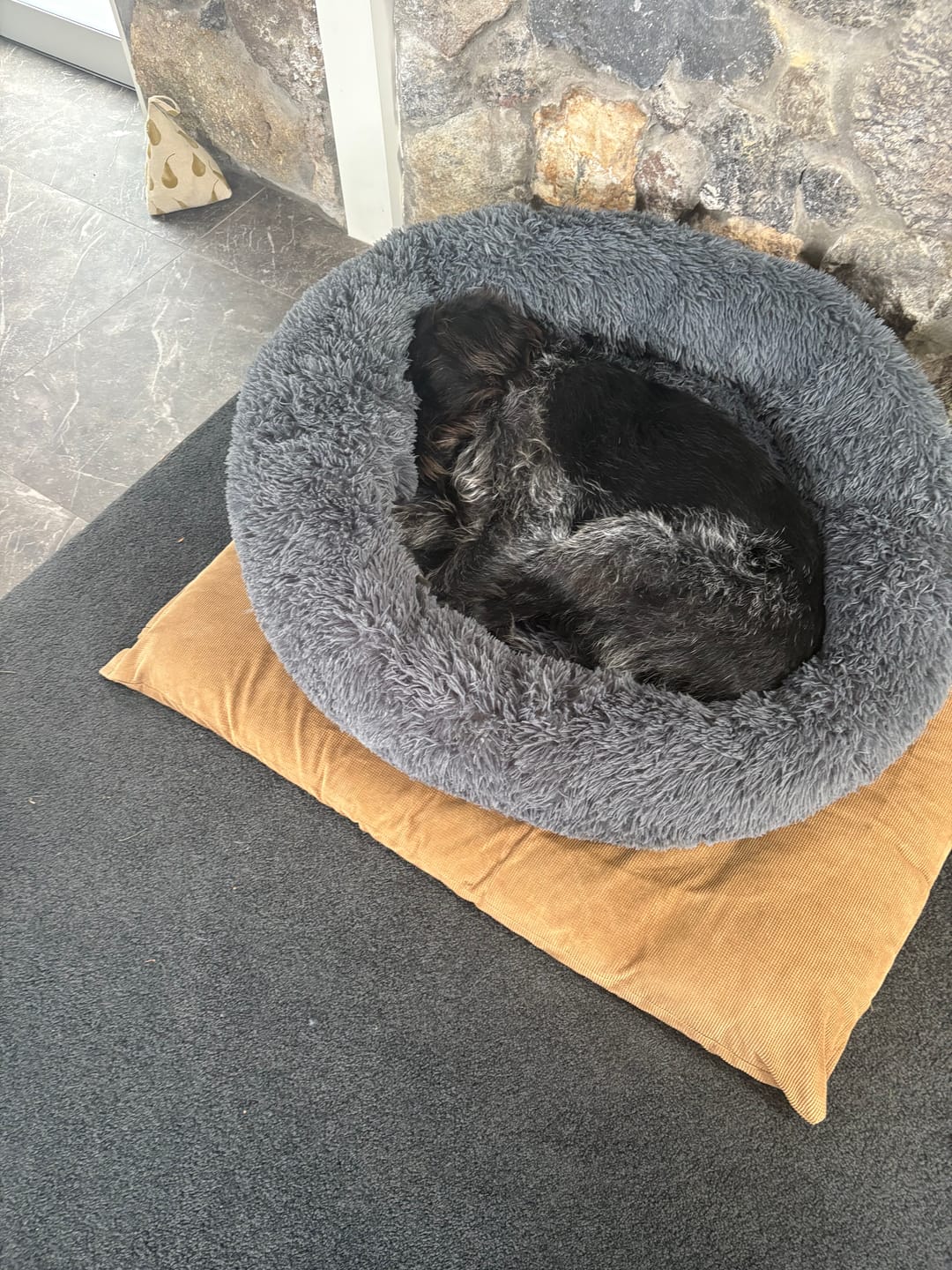 Customer photo review of Brooklyn® Deep Sleep Pet Bed