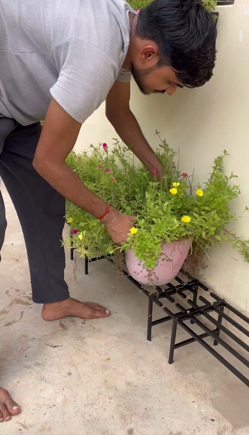 Customer photo review of TryGreen Hexa Metal Pot Stands for Planters