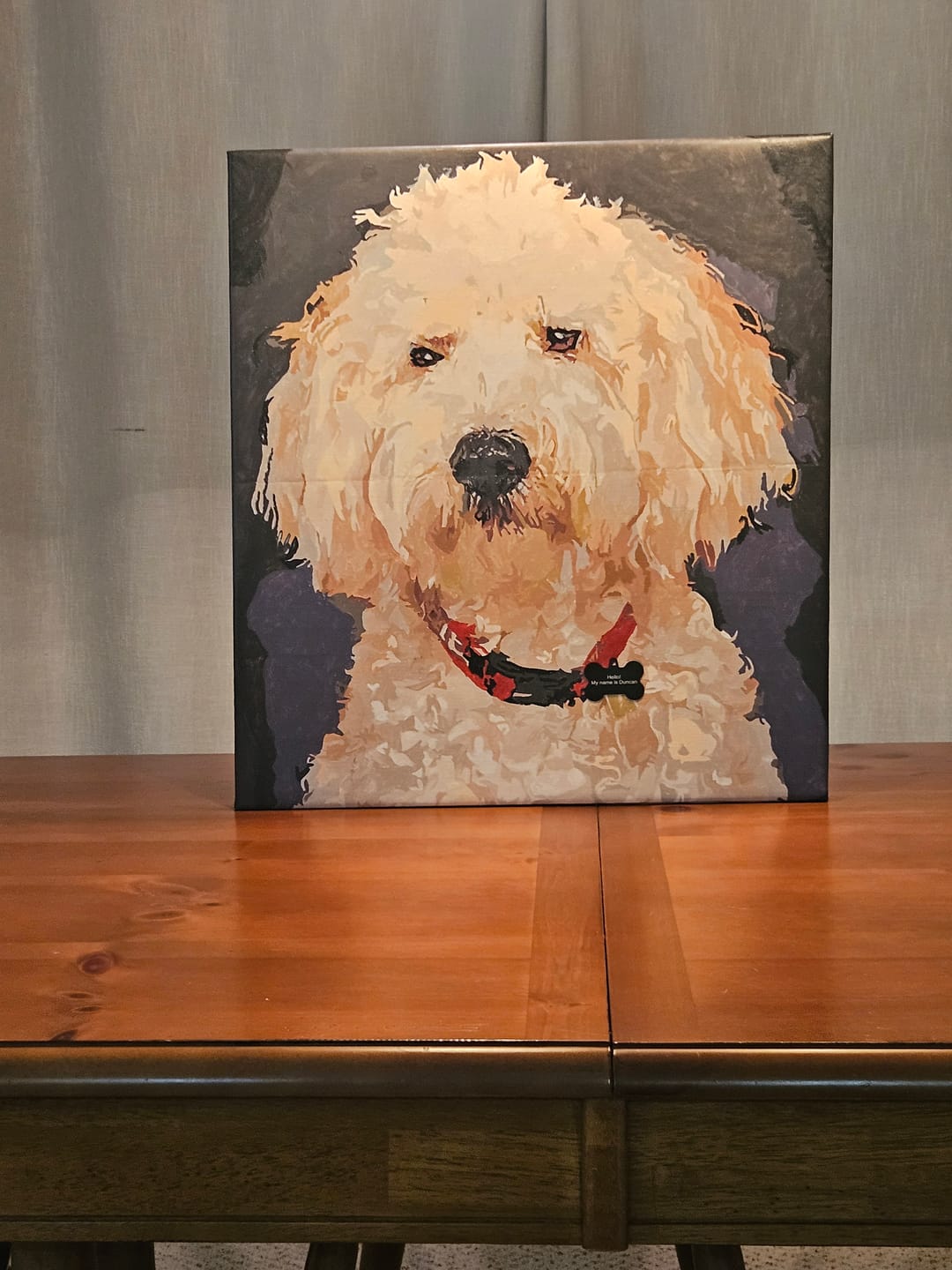 Customer photo review of Custom Paint by Number