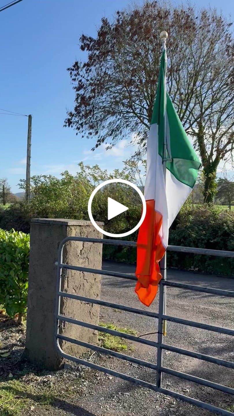 Customer video review of Ireland National Flag