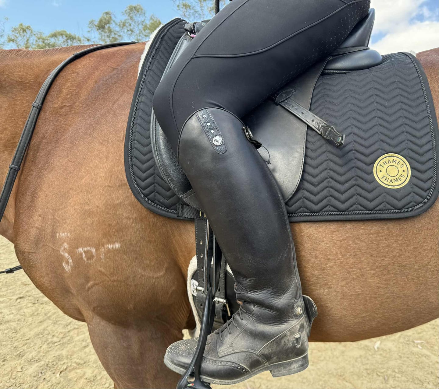 Customer photo review of Thames Rothbury Saddle Pad - Limited Edition Gold