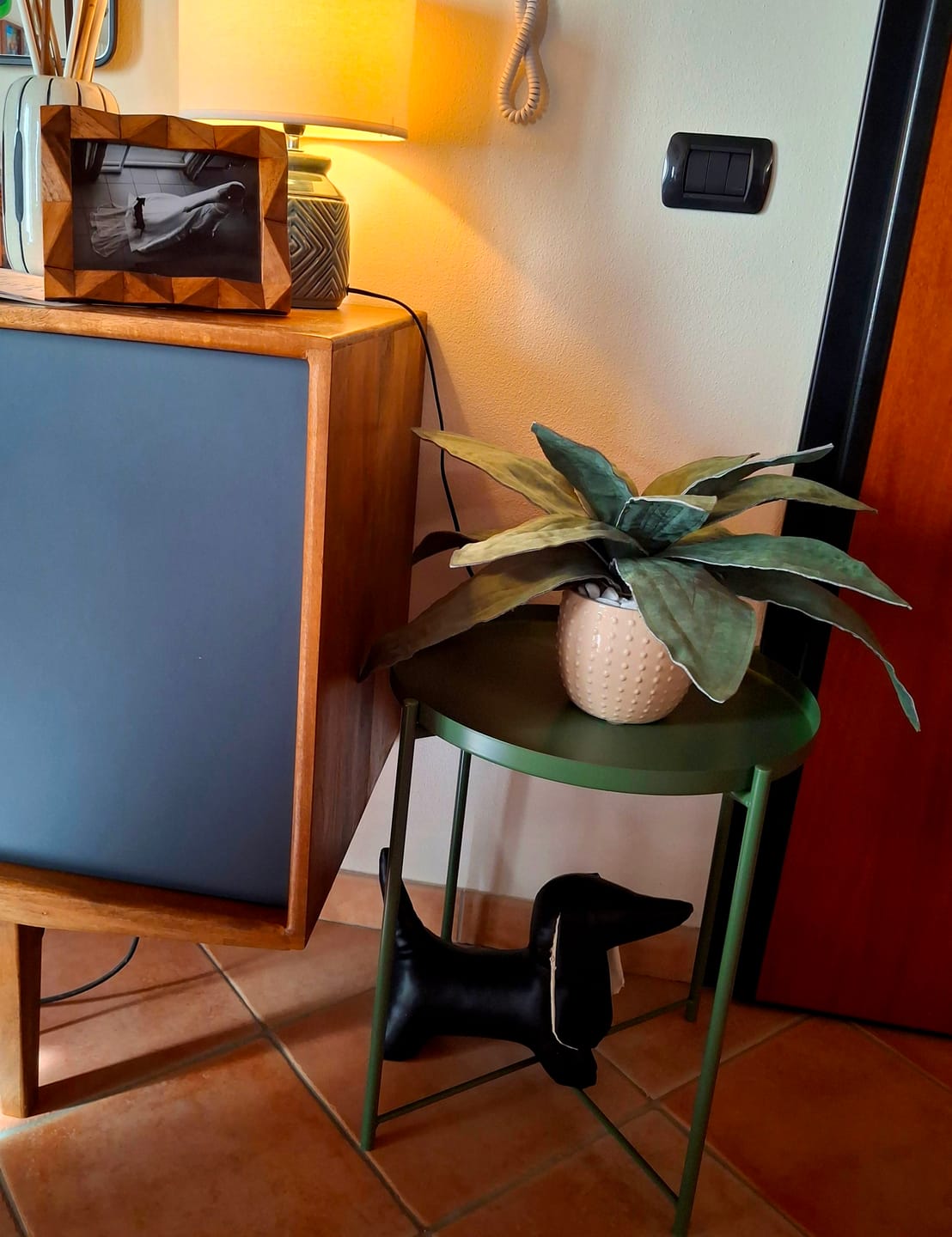 Customer photo review of Agave in Alcantara