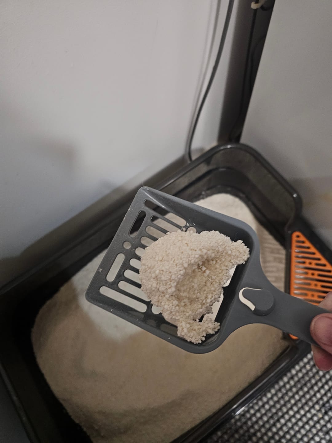 Customer photo review of Michu Wonder Litter - Plant-Based & Automatic-Box Friendly 2.5kg/6L