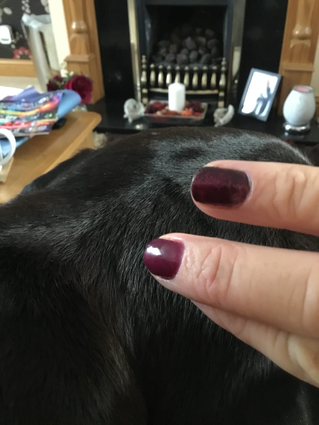 Customer photo review of Semilac 148 Night Euphoria UV Gel Polish