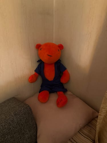 Customer photo review of JERMAINE, L’OURSON - GRAND