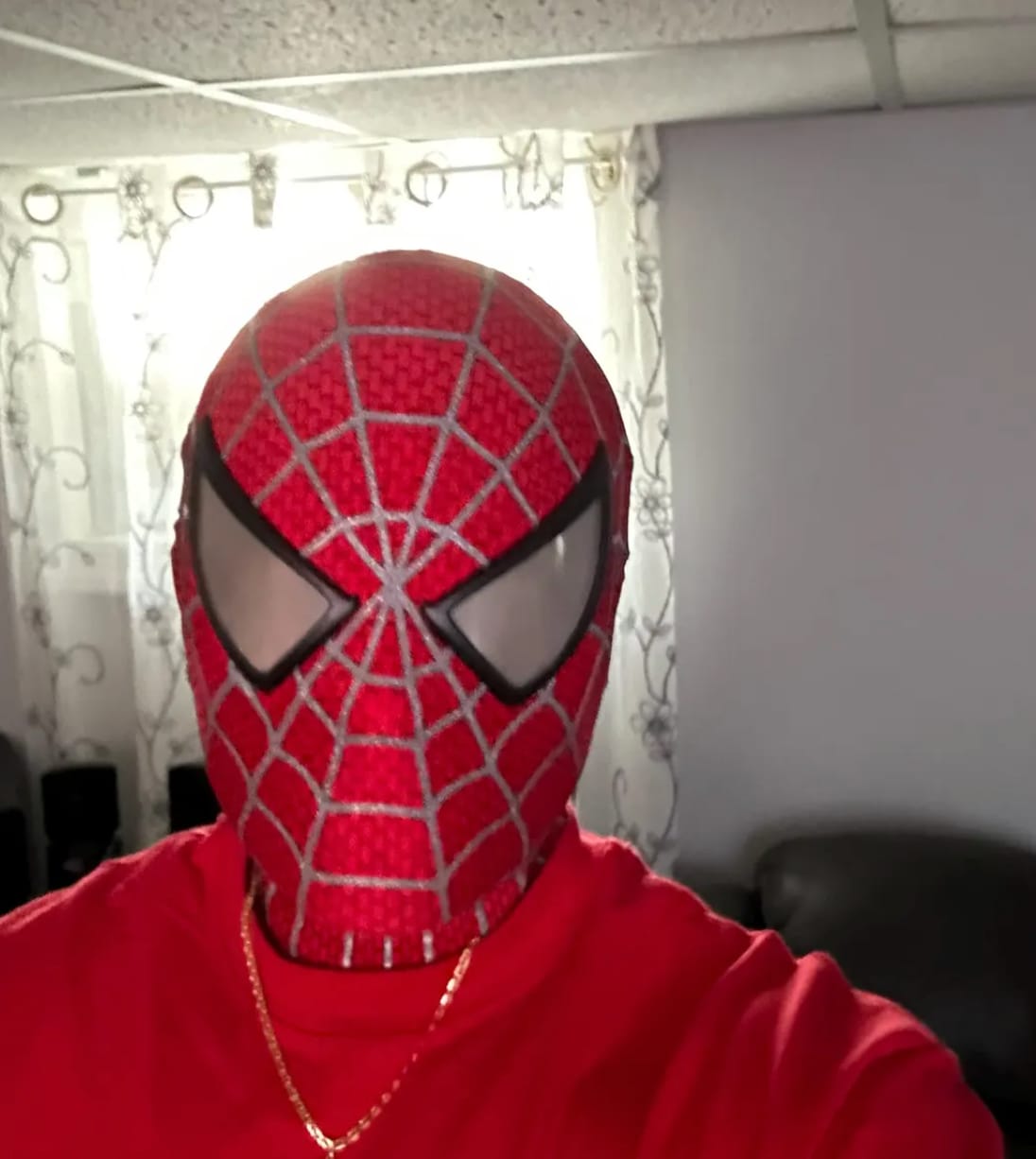 Customer photo review of Tobey Maguire Spider-Man Life Size Wearable Mask