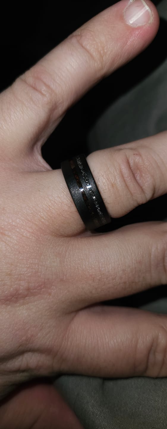 Customer photo review of The Meteorsaur