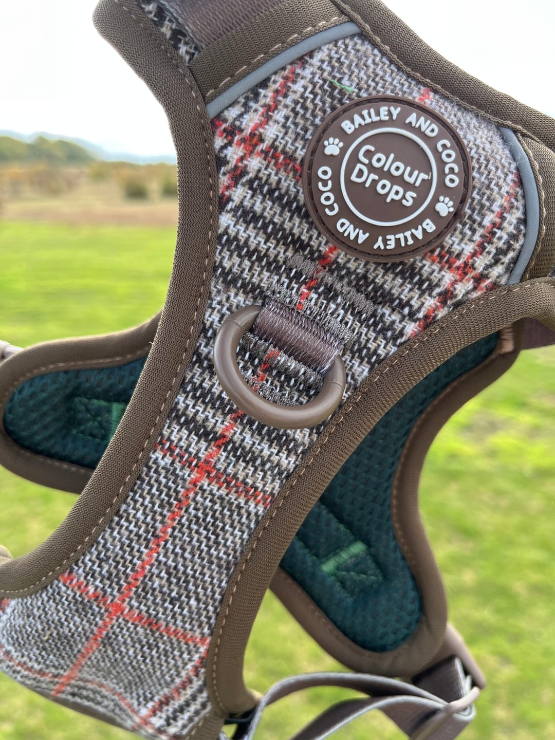 Customer photo review of Trail & Glow Tweed Dog Harness - Colour Drops - Heritage Plaid