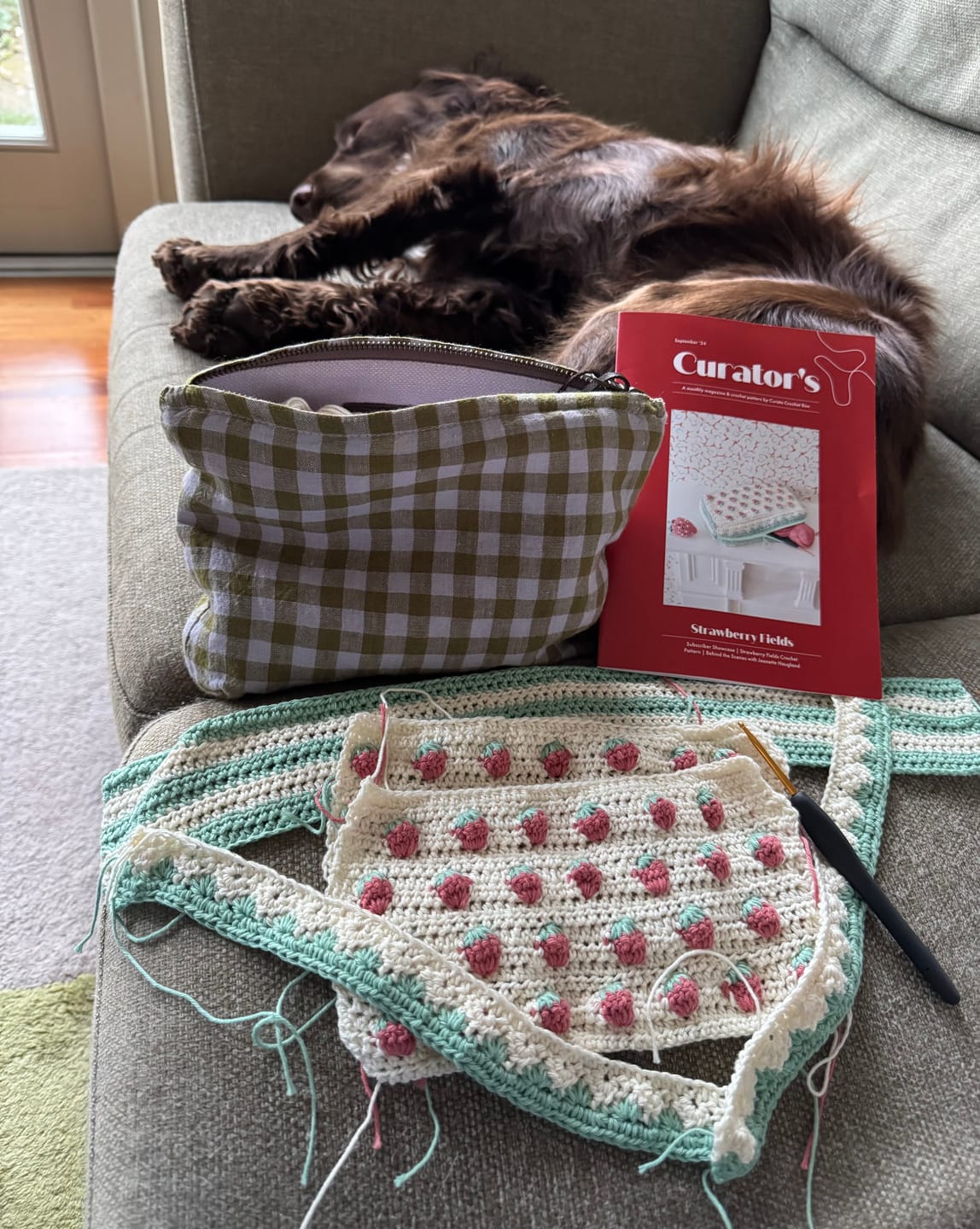 Customer photo review of Strawberry Fields Kit or Pattern
