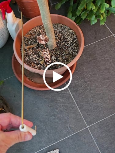 Customer video review of Tesla Coil Electroculture Gardening Antenna Starter Pack (plant stakes)