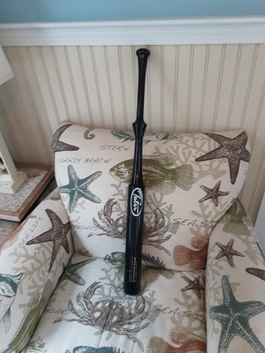 Customer photo review of G Force 2.0 Split Grip Overload Trainer® - *Patent Pending*