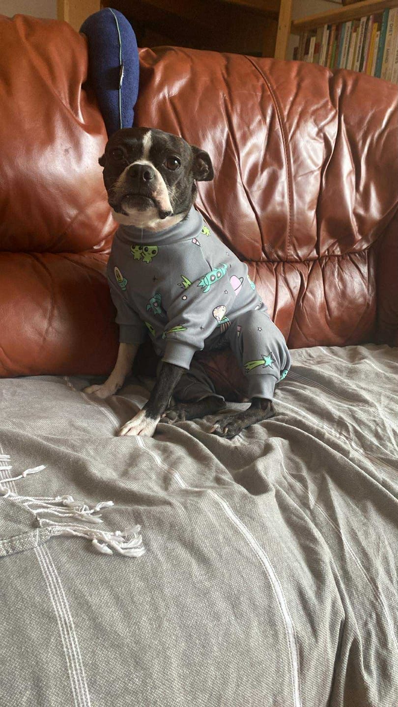 Customer photo review of Dog Pajama - Alien