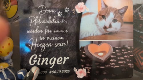 Customer photo review of Katzen Gedenktafel mit Foto & Spruch (UV- & Wetterfest)
