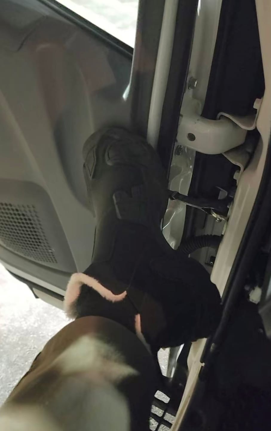 Customer photo review of ThermaBoots™ Fleeced Waterproof Boots