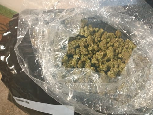 Customer photo review of Super Lemon Haze Mediums - Bulk Mediums - Sativa