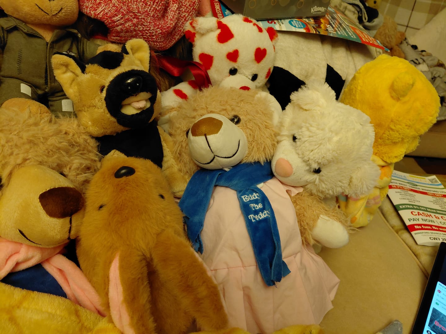 Customer photo review of Brenda the Bunny