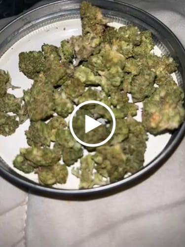 Customer video review of Greenhouse Smalls
