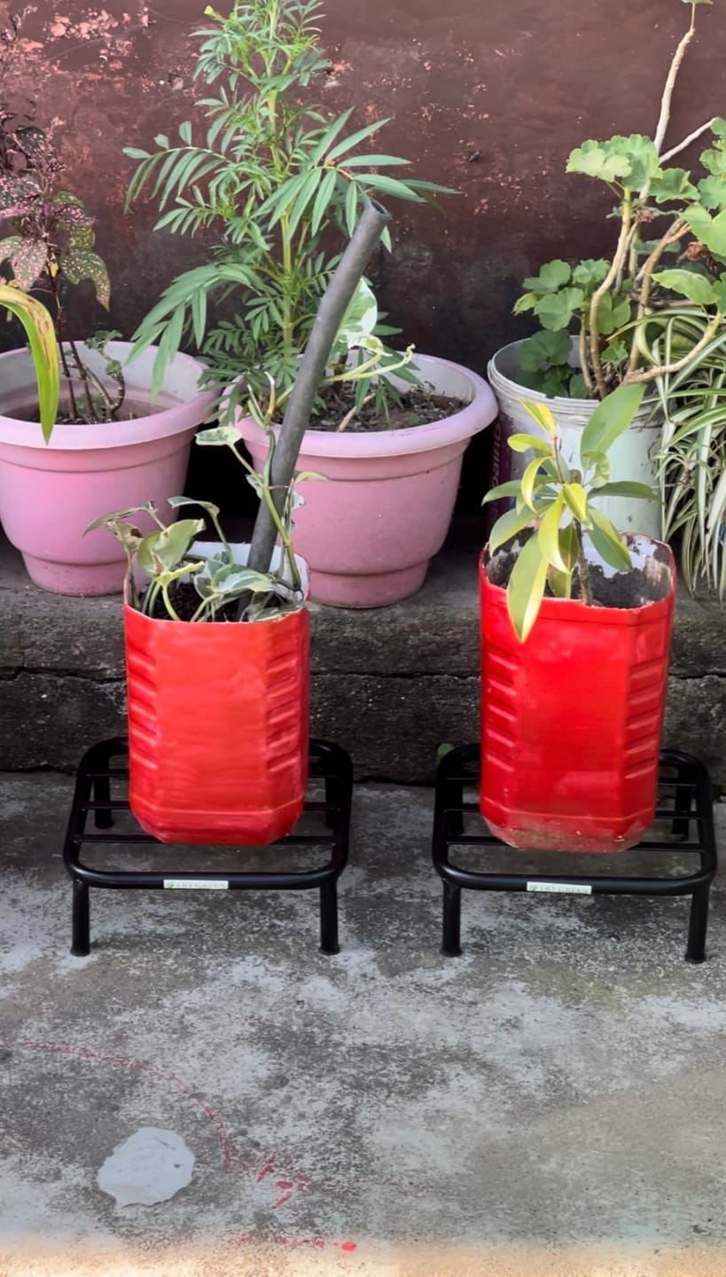 Customer photo review of TryGreen Dray Metal Pot Stands for Planters