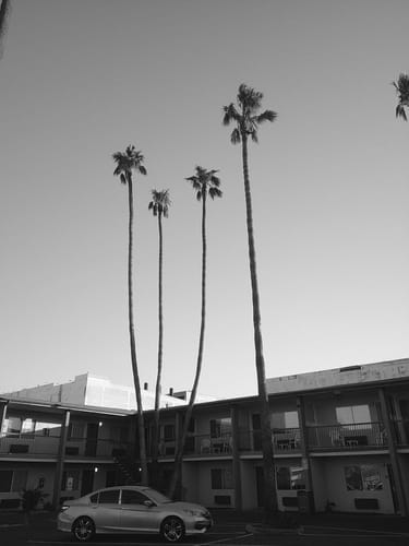 Customer photo review of NUVINT - Digitalkamera