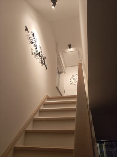 Customer photo review of Décoration murale en métal moderne - Oiseaux sur branche (V.02)