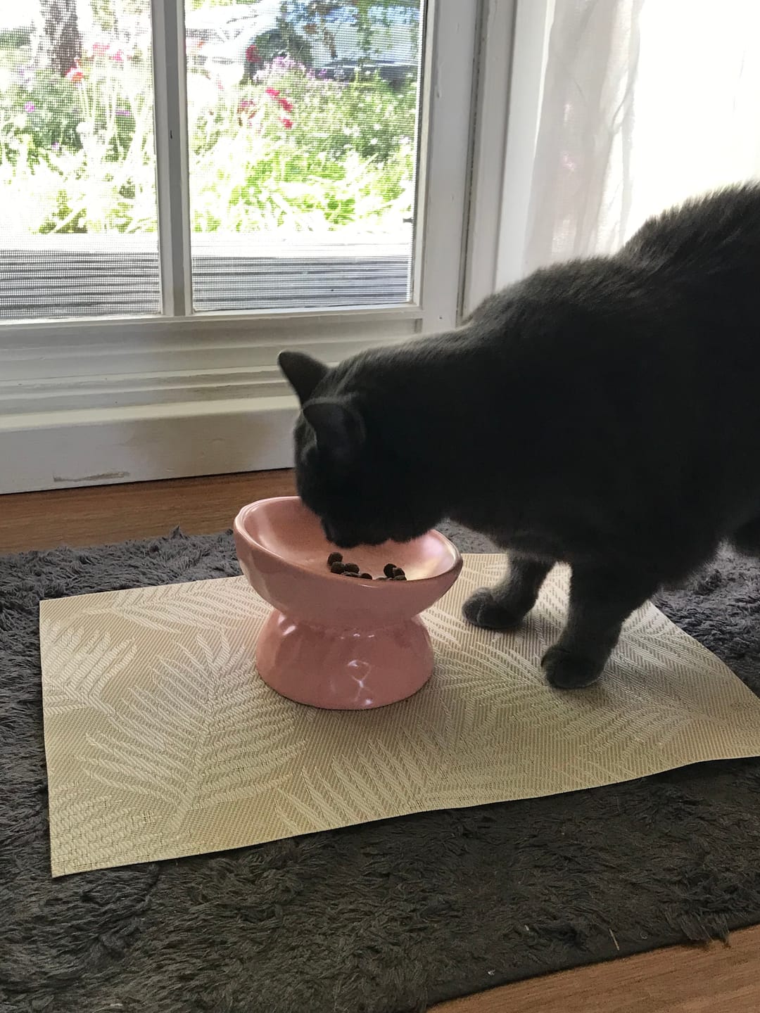 Customer photo review of Tilting Ceramic Cat Bowls With Uneven Texture