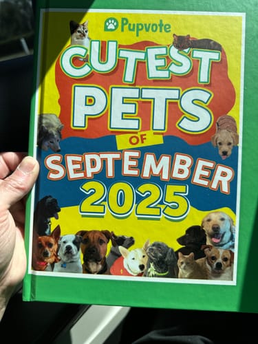 Customer photo review of Meet the Cutest Pets of Pupvote in the 2025 Photobook