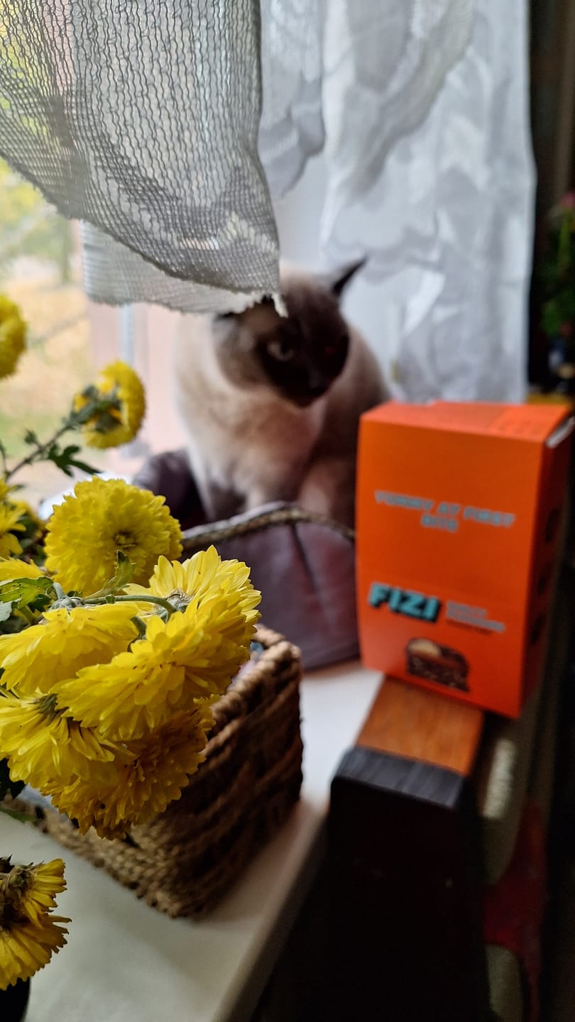 Customer photo review of Brownie Babe x10 шт.