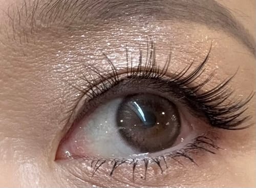 Customer photo review of Bean Kristin Monthly Medium Brown