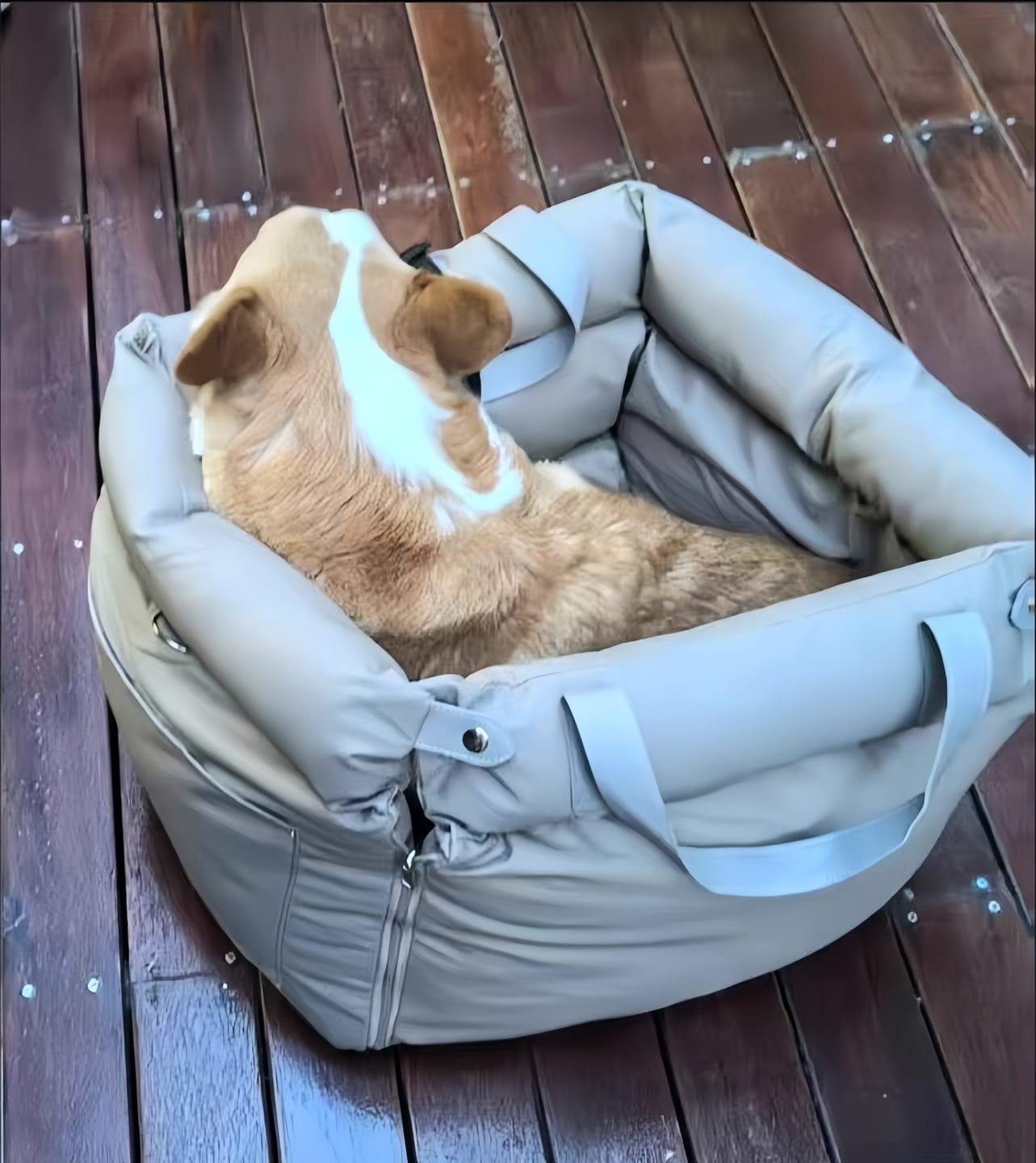 Customer photo review of Beige Premium Dog Car Elevated Bed