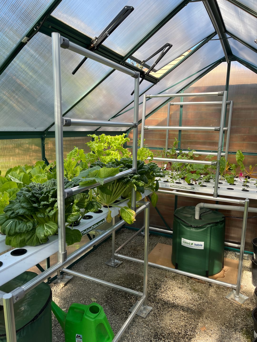 Customer photo review of Trellis For Medium and Large Salad Tables