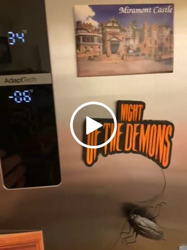 Customer video review of Halloween III: Silver Shamrock Logo - PVC Fridge Magnet