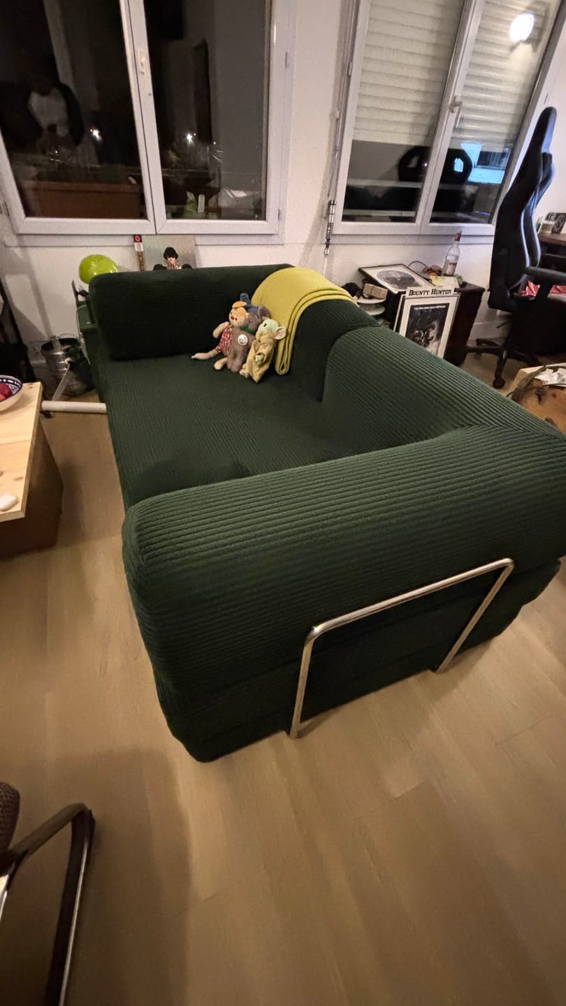 Customer photo review of VacuumLuxe Compression Sofa