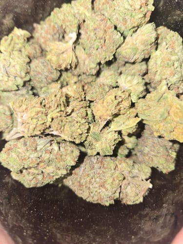 Customer photo review of Skunk Junction