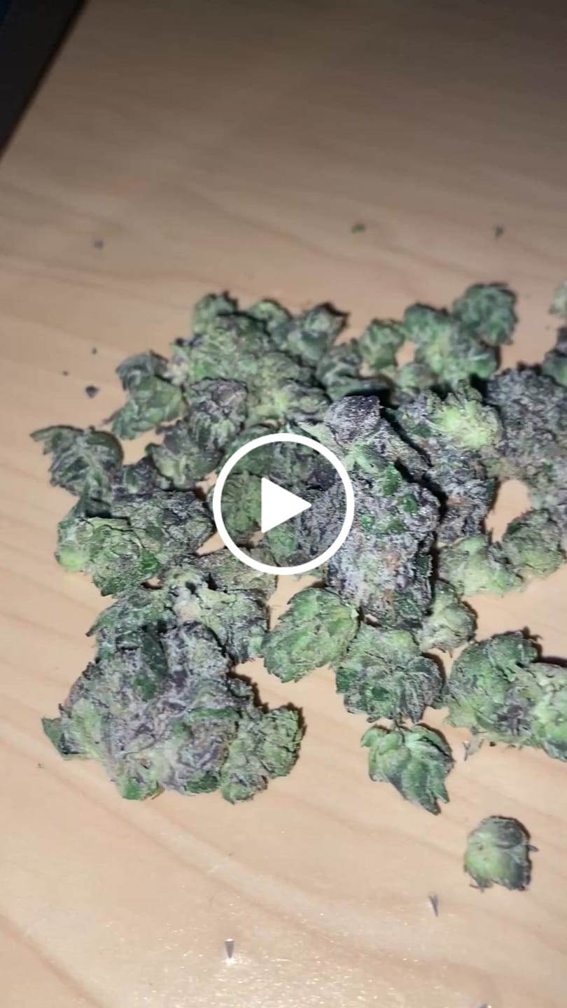 Customer video review of Indoor Micros
