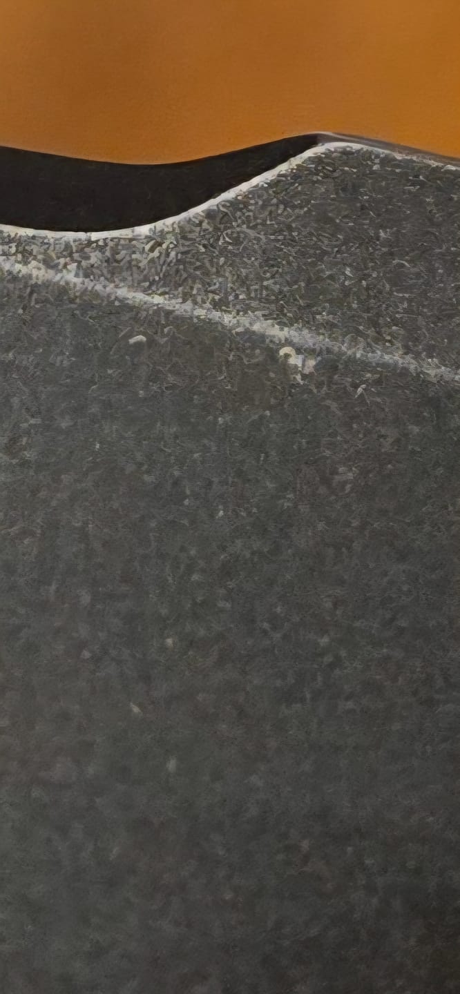 Customer photo review of Iron Jaw