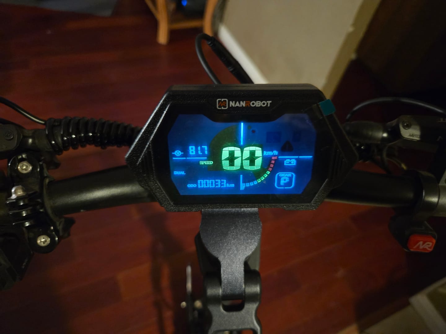 Customer photo review of NANROBOT Electric Scooter Center Display