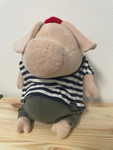 Customer photo review of HELMUT, LE COCHON - GRAND