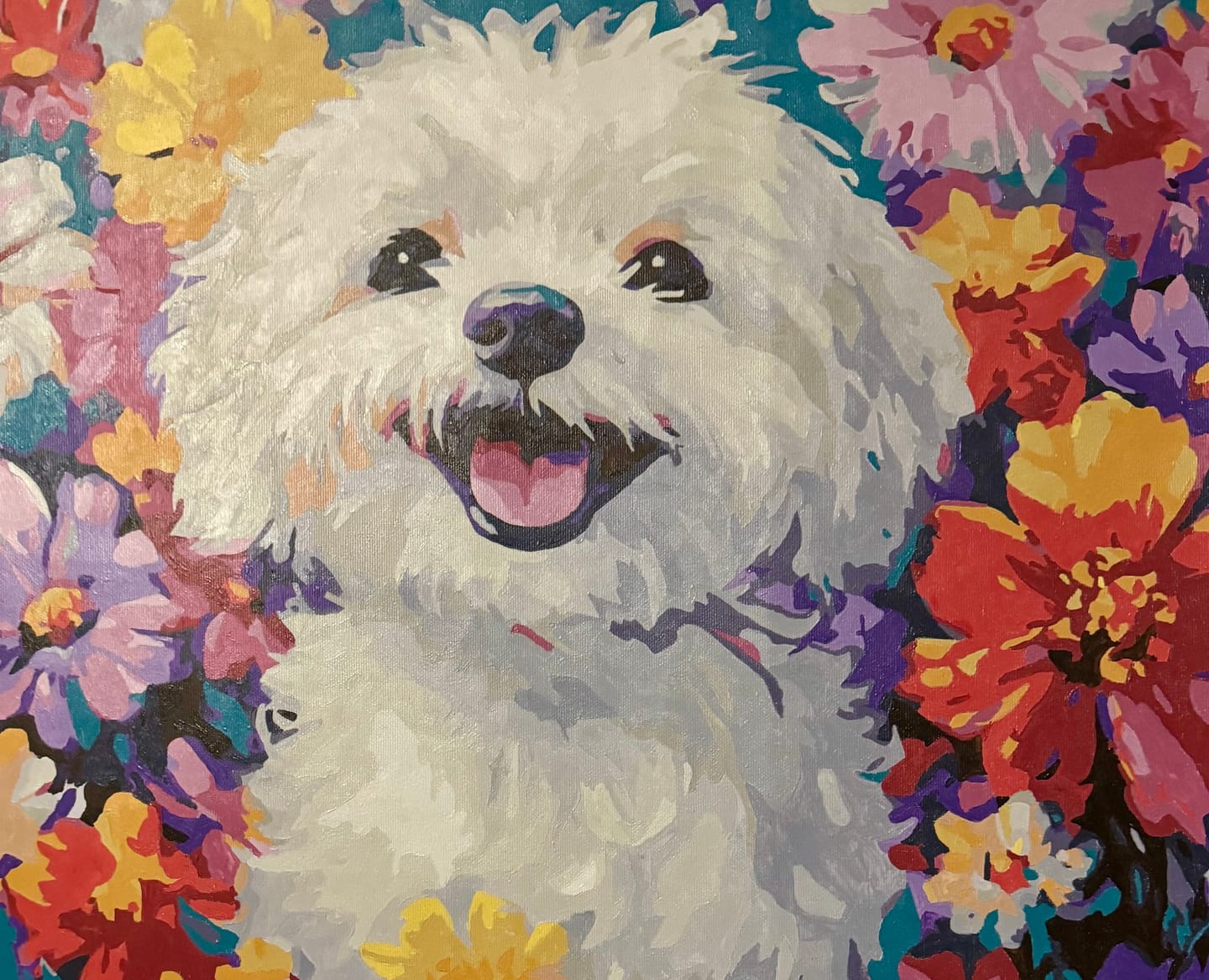 Customer photo review of Bichon Frise