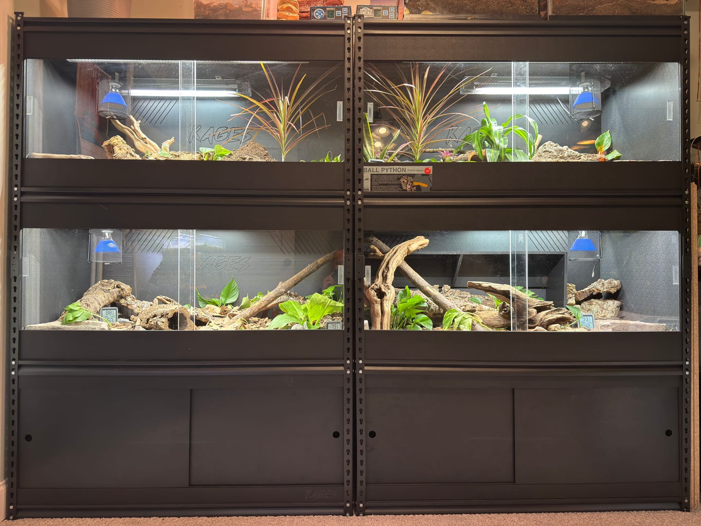 Customer photo review of 48"x24"x24" / 4'x2'x2' Premium PVC Reptile Enclosure