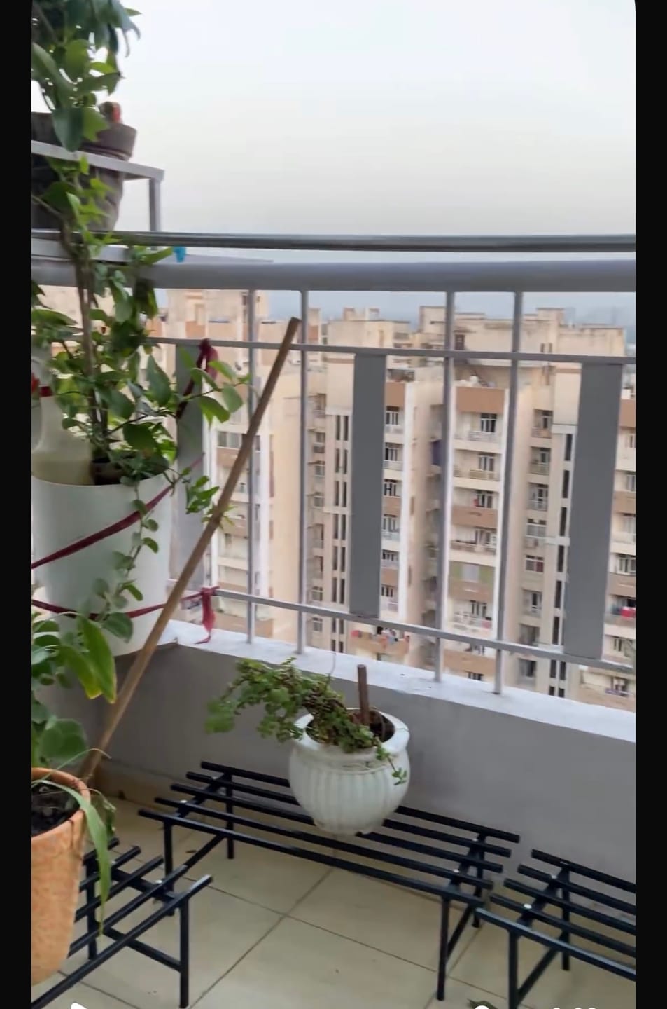Customer photo review of TryGreen Hexa Metal Pot Stands for Planters