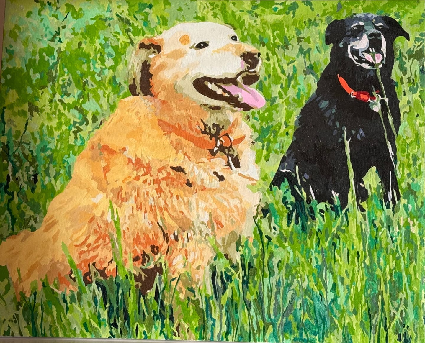 Customer photo review of Custom Pet Portrait – Paint by Numbers