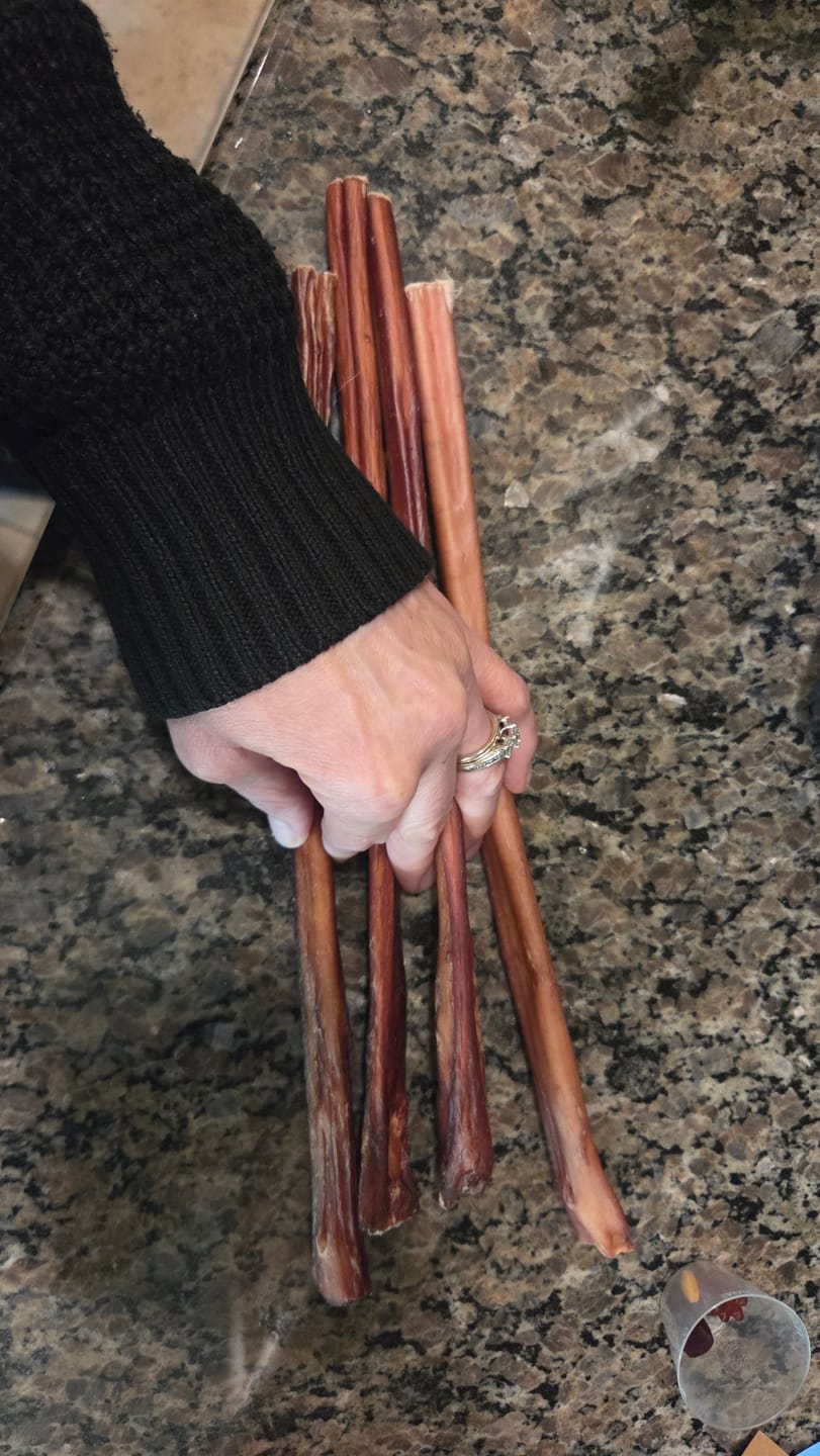 Customer photo review of 12 Inch Extra Thick Bully Sticks