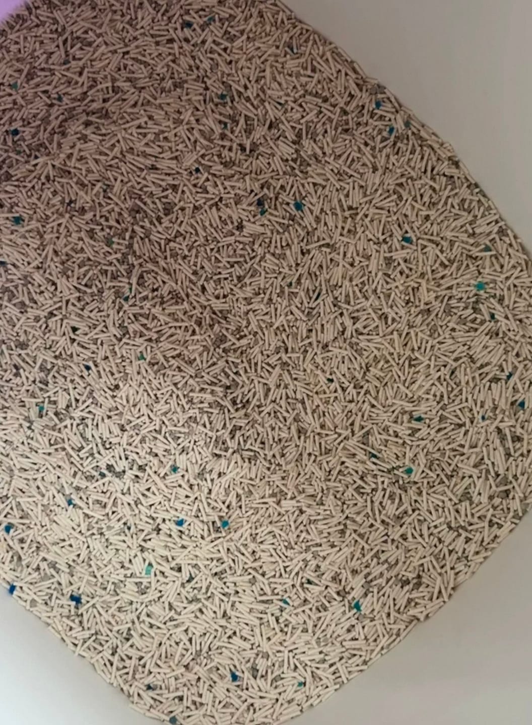 Customer photo review of Michu Mixed Tofu Cat Litter Lite 6L – Flushable, Eco-Friendly & Odour Control