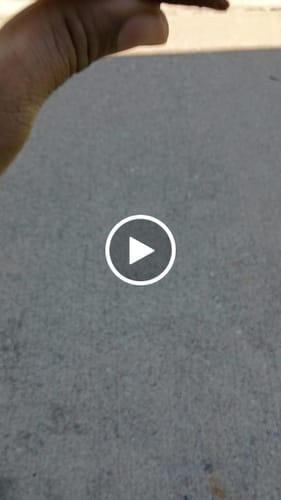 Customer video review of Exotic Shake