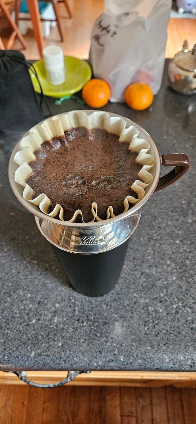Customer photo review of Kalita Wave 185 Coffee Filters - 100ct