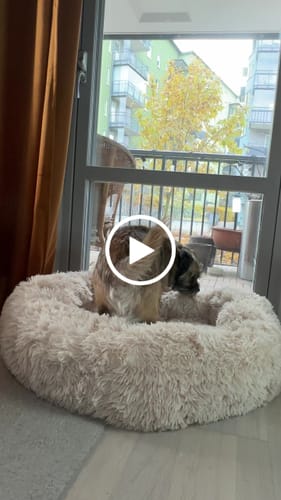 Customer video review of CalmBed överdrag